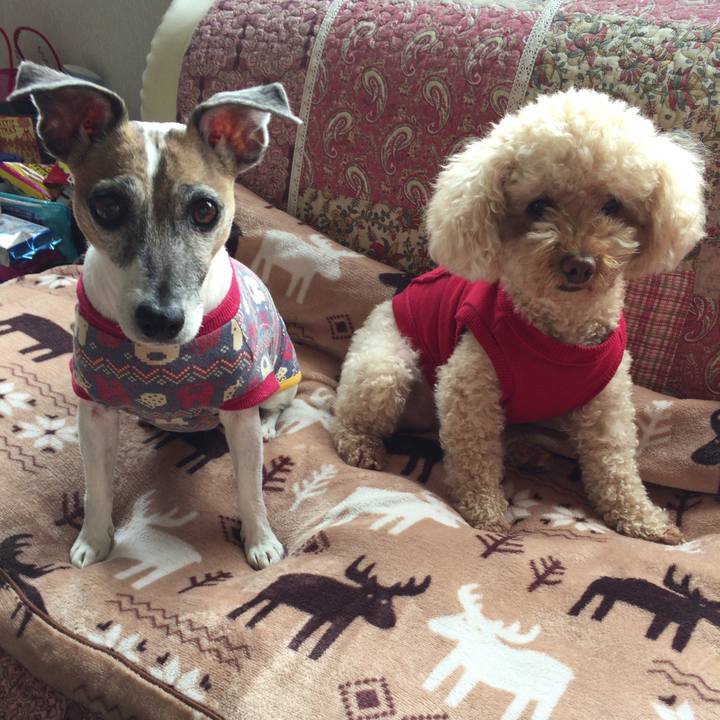 2d94f53c 883b 4e4d b23c 0b028d78ca23