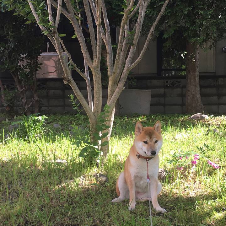 2d958c9a aeaa 41d9 ab3a 3b1b4b54024b