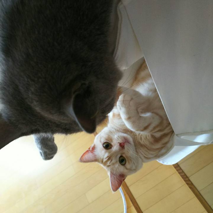 2d95fbaa e9ea 4448 ab68 f98347f78fe3