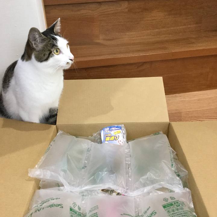 2d961842 45f3 4f4d 8370 597e36119788