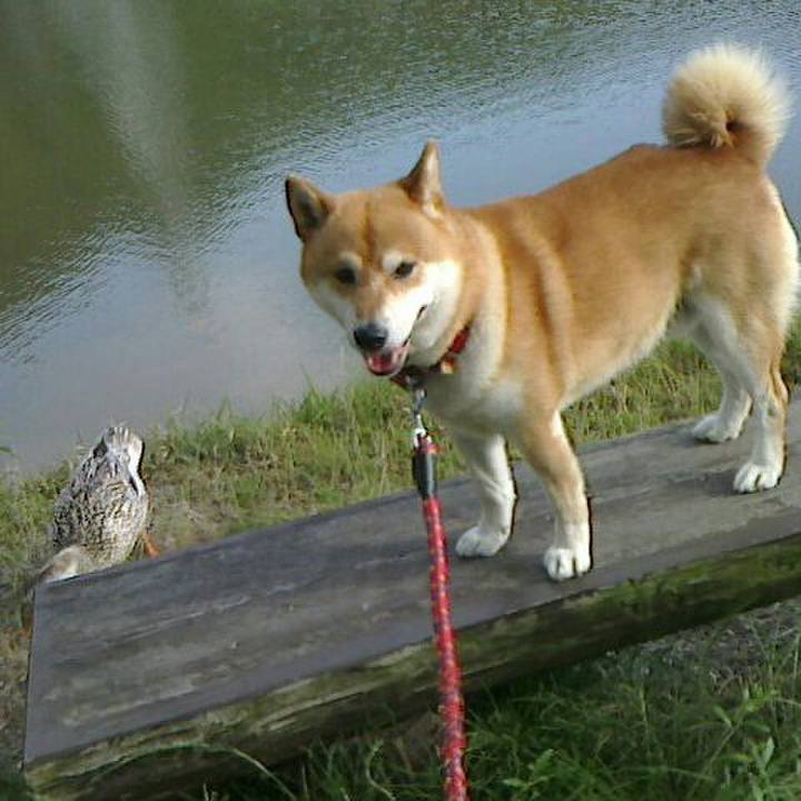 2d96cefc d99a 41ae a66f 30d264f2393d