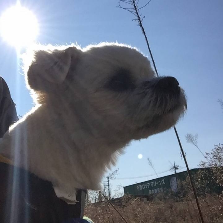 2d970d7d d8e9 4a0b b08e b8777baa36bc