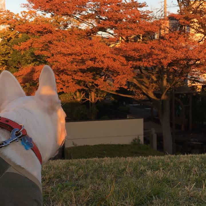 2d975a07 d2f5 4875 ad56 42ebf221b591