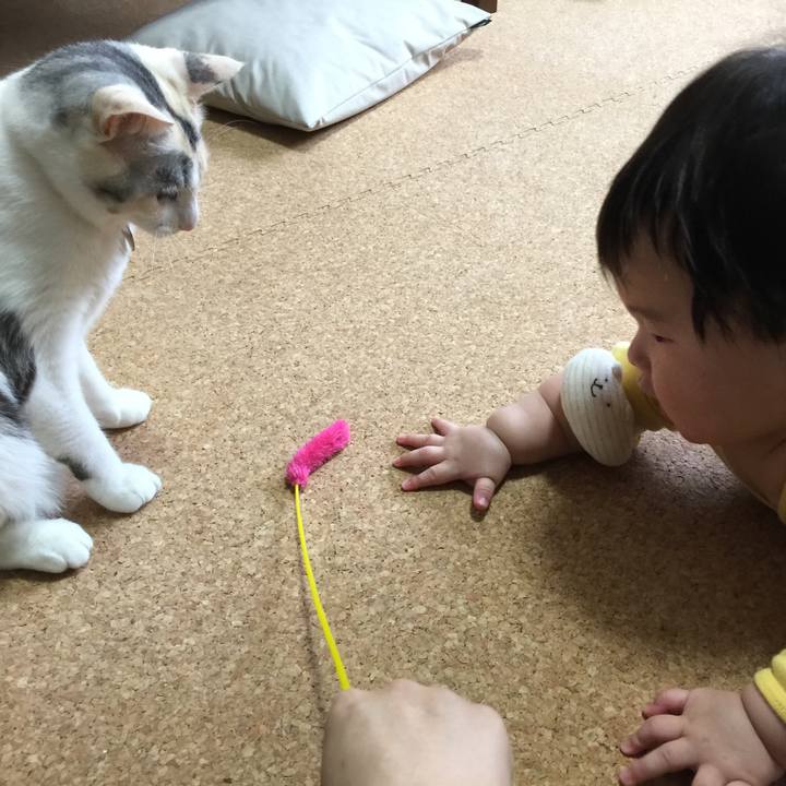 2d97af0c 2ed0 45af 8b80 0fbb92b528f1