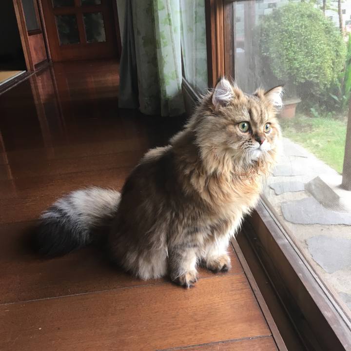 2d97f207 c347 4ef5 b456 39e84e726da8