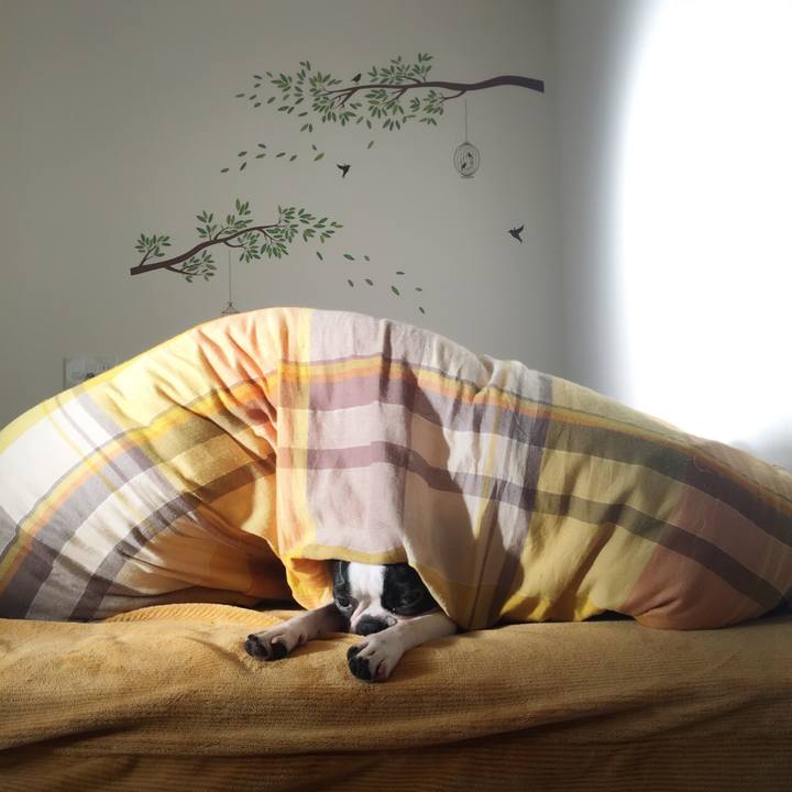 2d97fc52 41fa 4a81 9995 67a8aaf249ad