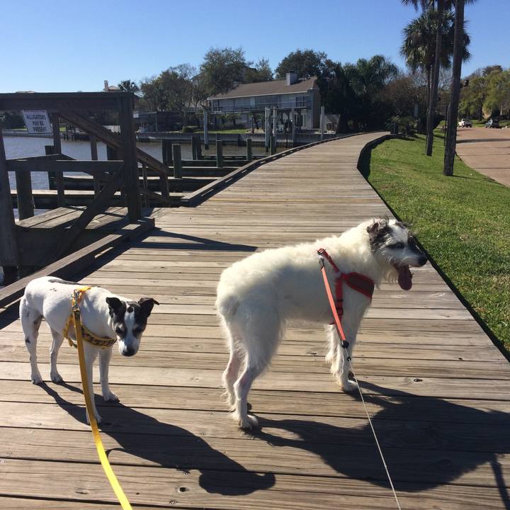 2d987a60 9049 4fb3 8066 e815e47bc4db