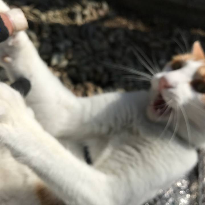 2d98a818 ea09 4d36 9bd3 19eb03660e46