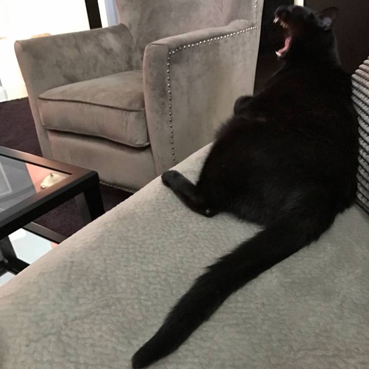 2d98c32c 1d22 458b 9278 b97cf4baf041