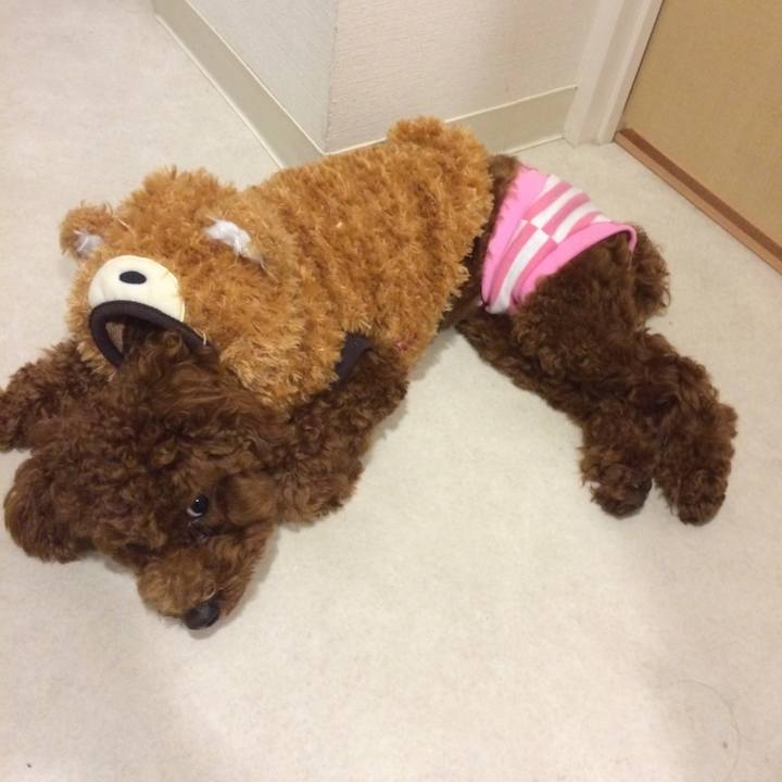 2d98d5b9 9bbb 44e6 bcd3 dccbfda3bd4e