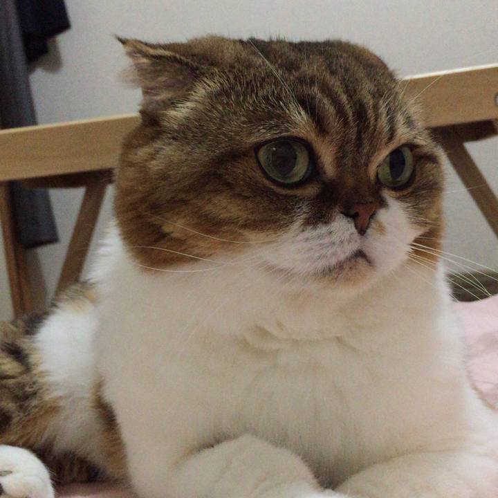 2d99ad1d dc51 4ff2 a137 2f8d6b266e7b