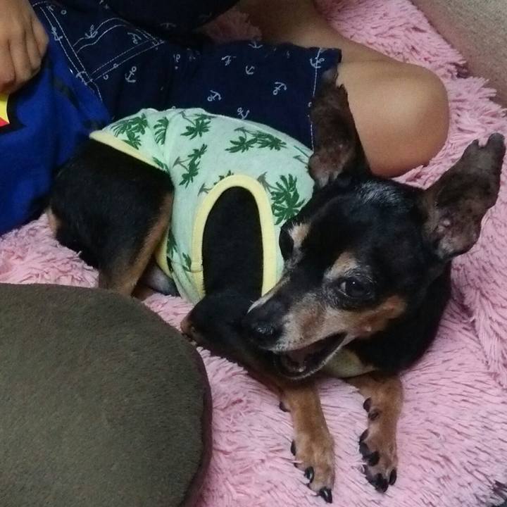 2d99c244 3f58 4d79 844a 2c4932707c3c