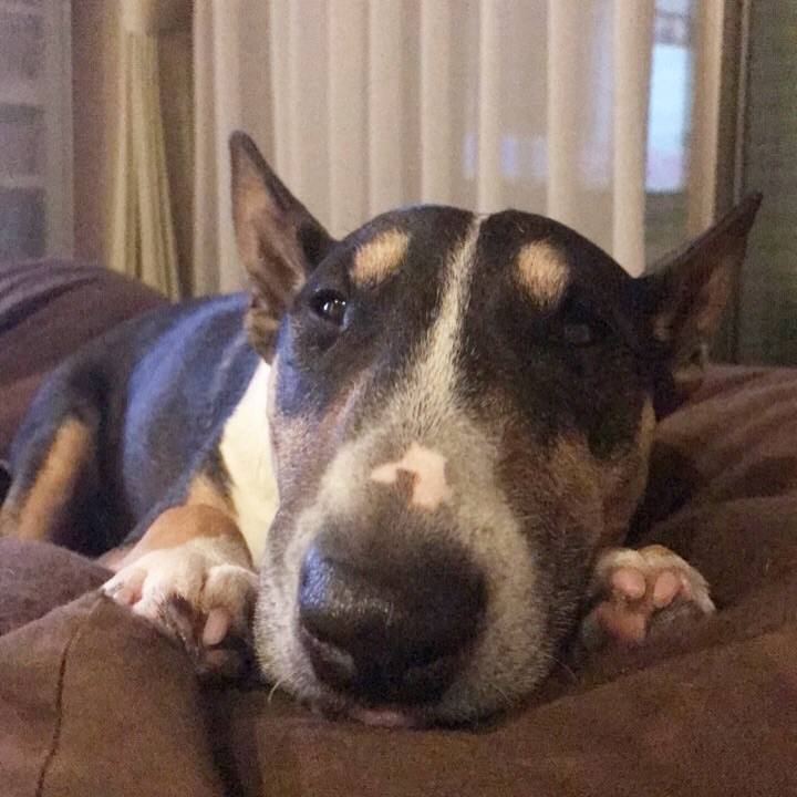 2d99cd38 e5e9 4888 b869 aa0d34049c12