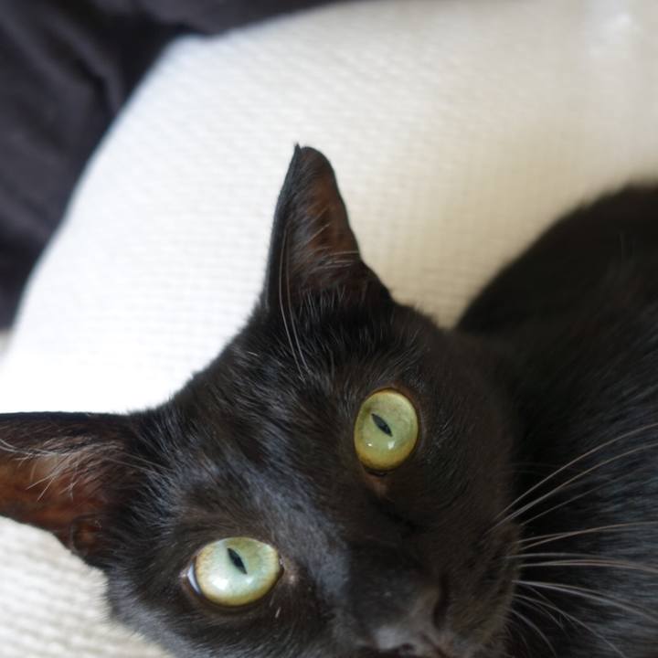 2d99ef3d 532e 479b a2bc d16ba73f6533