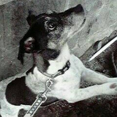 2d9a3dab 0828 4b42 a06a a43751abca4f