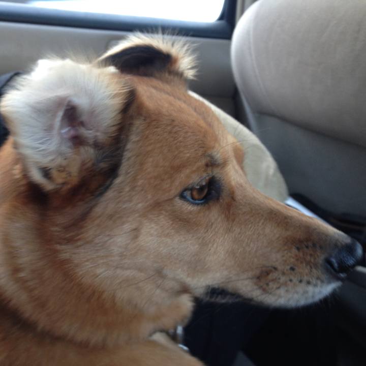 2d9a64b8 c811 4dcd ada8 14d950336e2c