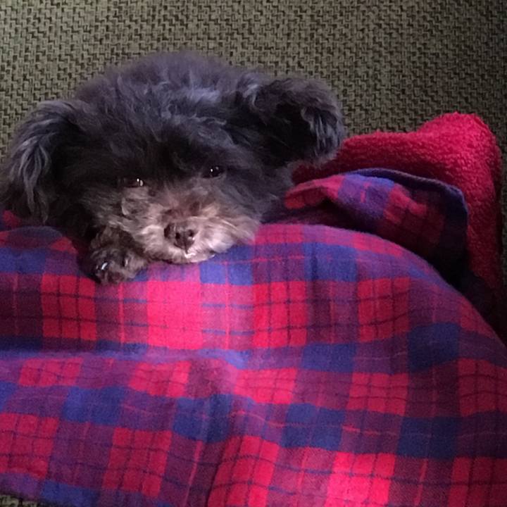 2d9aecbb 33fa 4f44 9bfc 22fa67ff309e