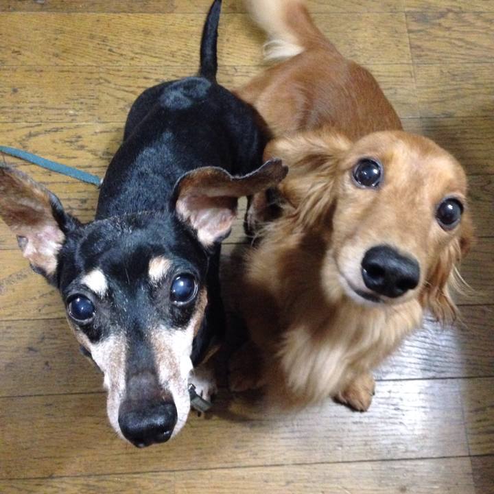 2d9b3cf2 af04 4f1b a360 ec2e4c506449