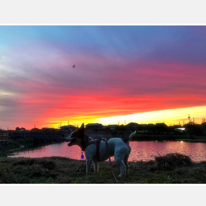 2d9be6d5 2962 45f2 b559 653e384b8977