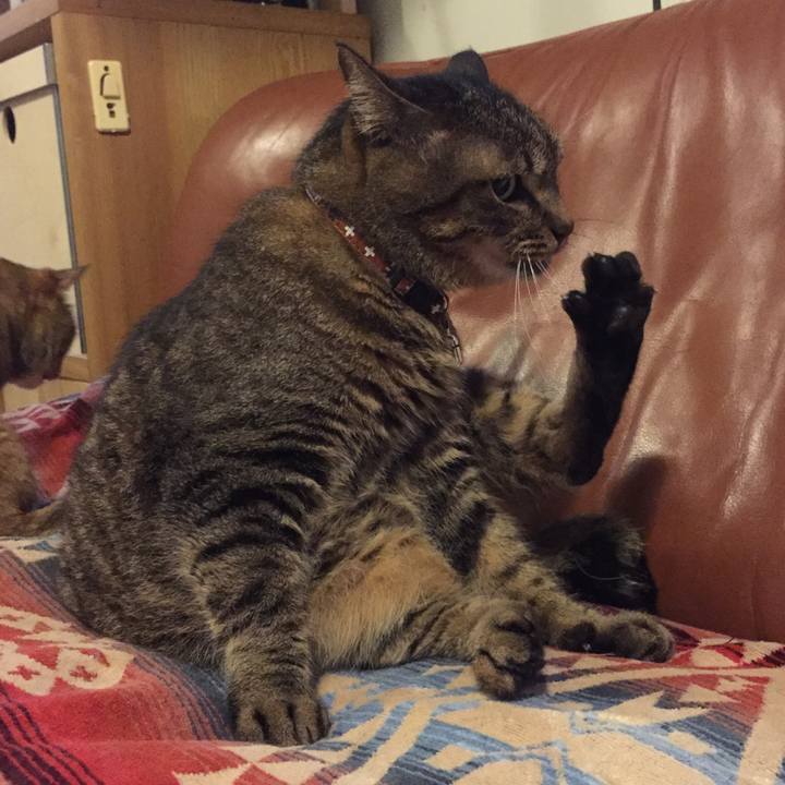 2d9c011d e700 4e35 af43 b46d13ec4808