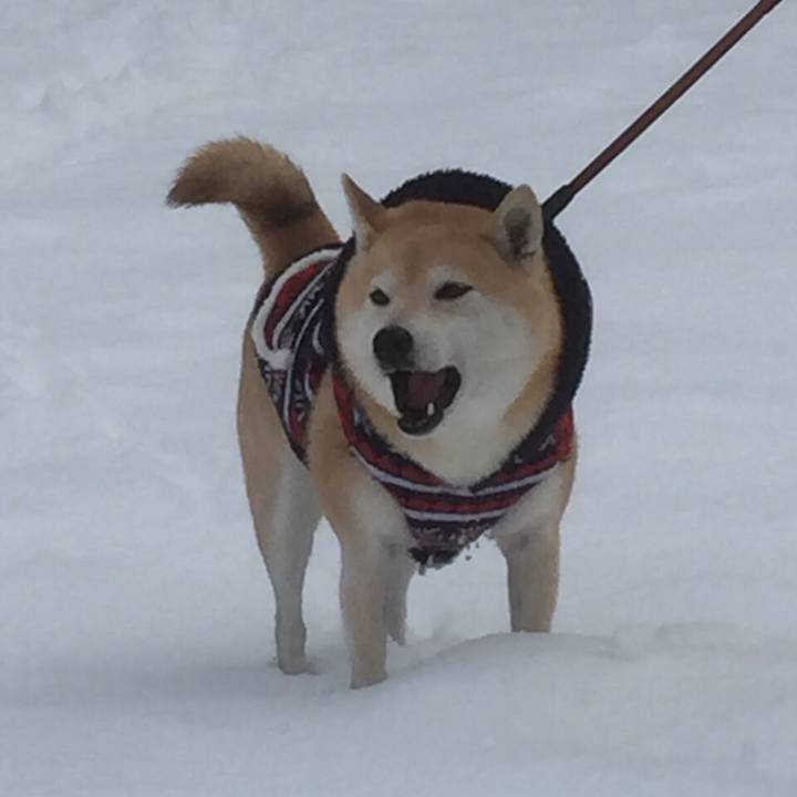 2d9c4e1b faeb 47a1 8783 ba75280bc124