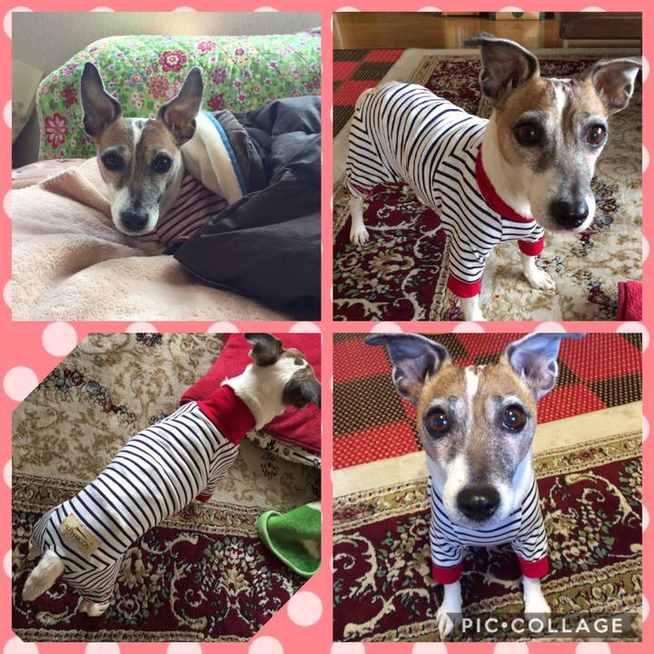 2d9d4ad6 47fd 466e 8832 021915c7b9a1