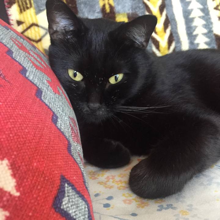 2d9d5593 010e 4bf4 b93b 427ec5d68504