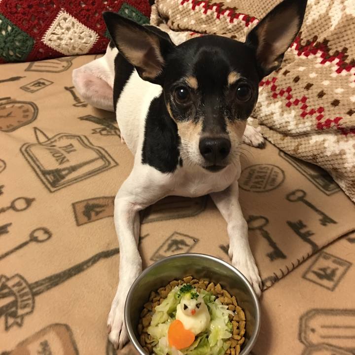 2d9d5c81 4ef5 4621 aee3 ae5496037b85