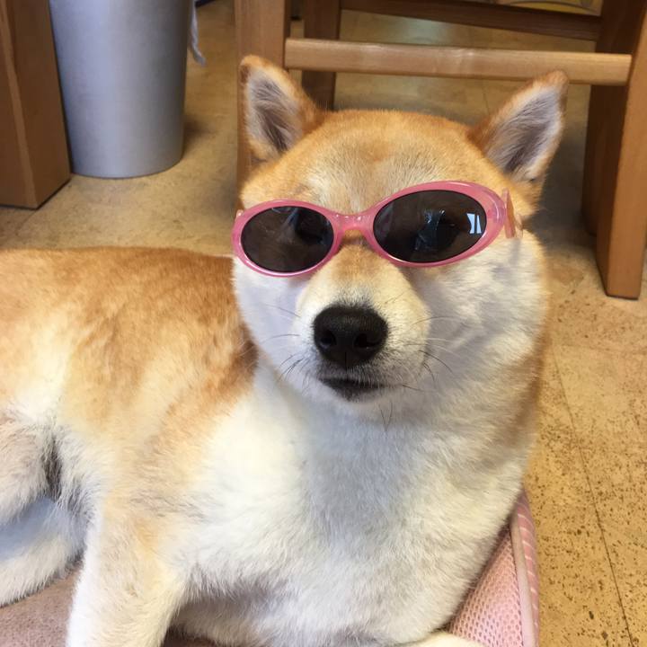 2d9d6b83 b4b4 47ed b1c6 307cdeb5cd27