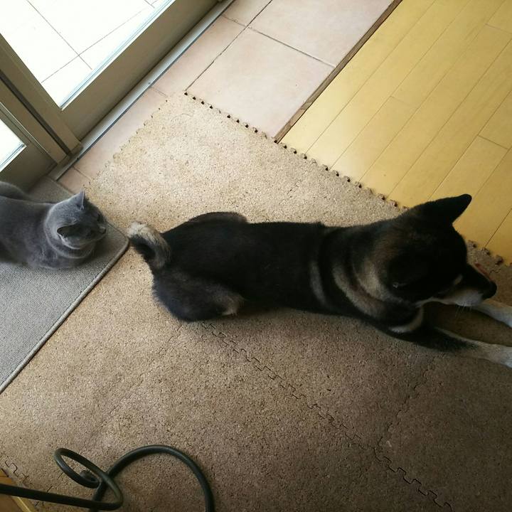 2d9d7607 7150 4beb ad6c 814eab6d2c34