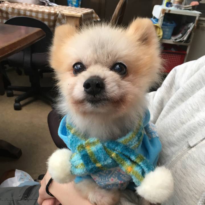 2d9d85cc 96a0 4521 8f27 6703e5312efc