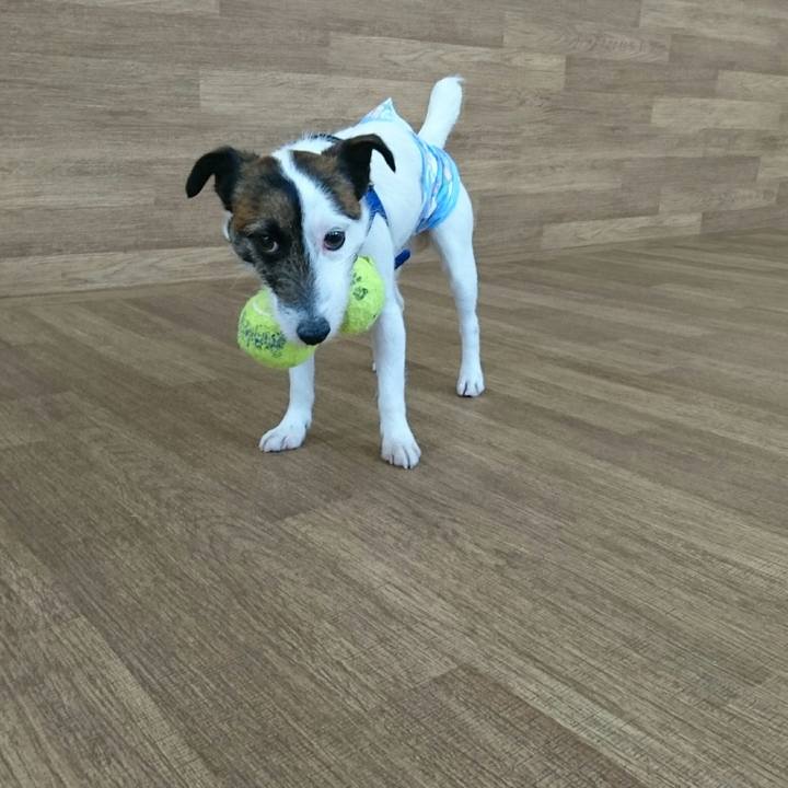 2d9df321 3872 4b65 a461 b7f020a40403