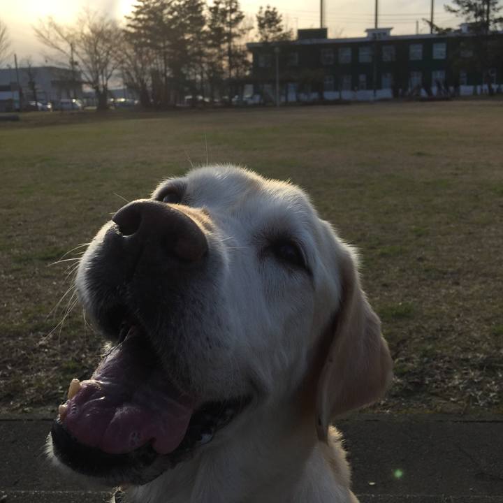 2d9e9a48 f849 4568 a2ab 03f3be95e985