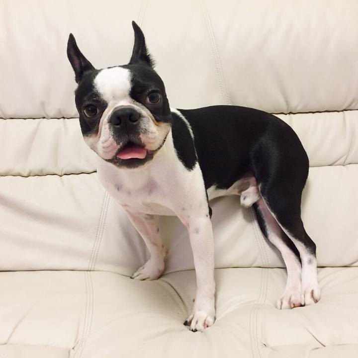 2da0a737 fc87 4c88 979d c3947dc01498