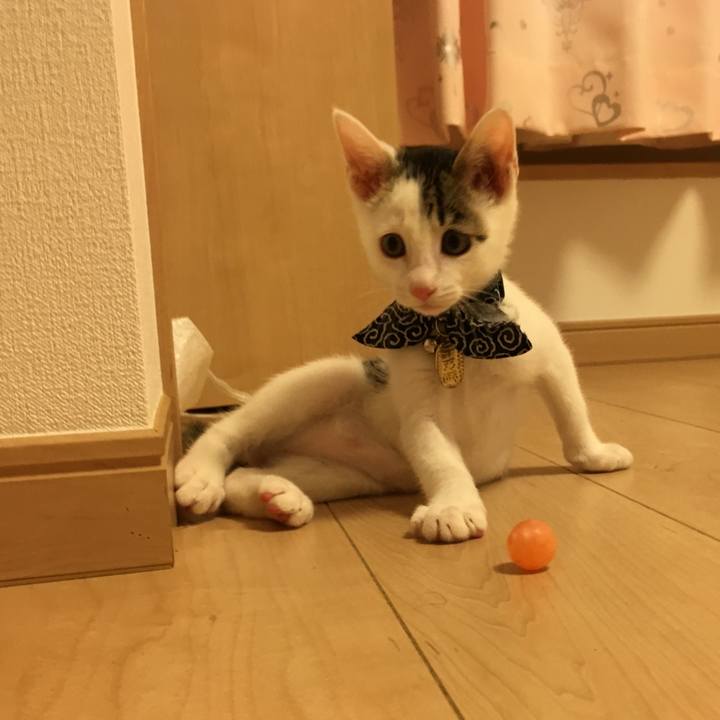 2da0c276 ee10 49cd 9531 239395f059bf