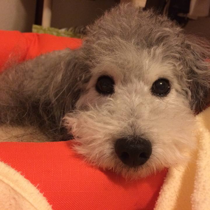 2da10172 8288 44e4 8e7b bc9a9ed51ee2