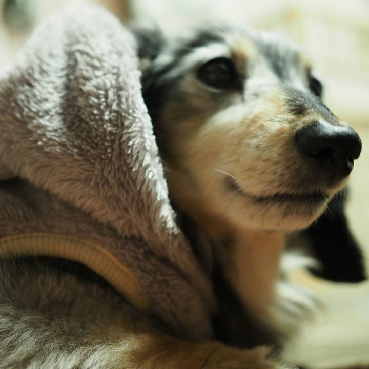 2da11328 483a 4f67 a4fb df443ae982ce