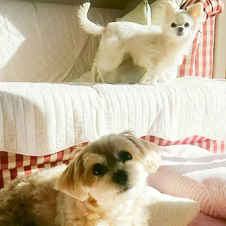 2da126ae 91da 44c6 8f51 2169e9f121f9