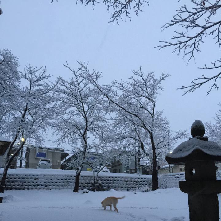 2da194cb 94ef 4234 bc7e 2f8afcd311e3