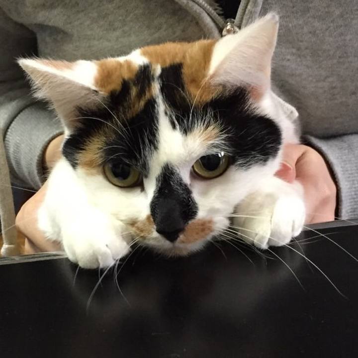 2da1aafb 7562 4af3 a3af 8dbda33be6be