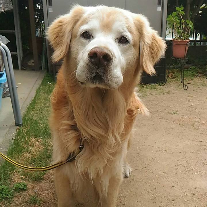 2da2311c 9987 4ca7 80bd 4bef65c9d370