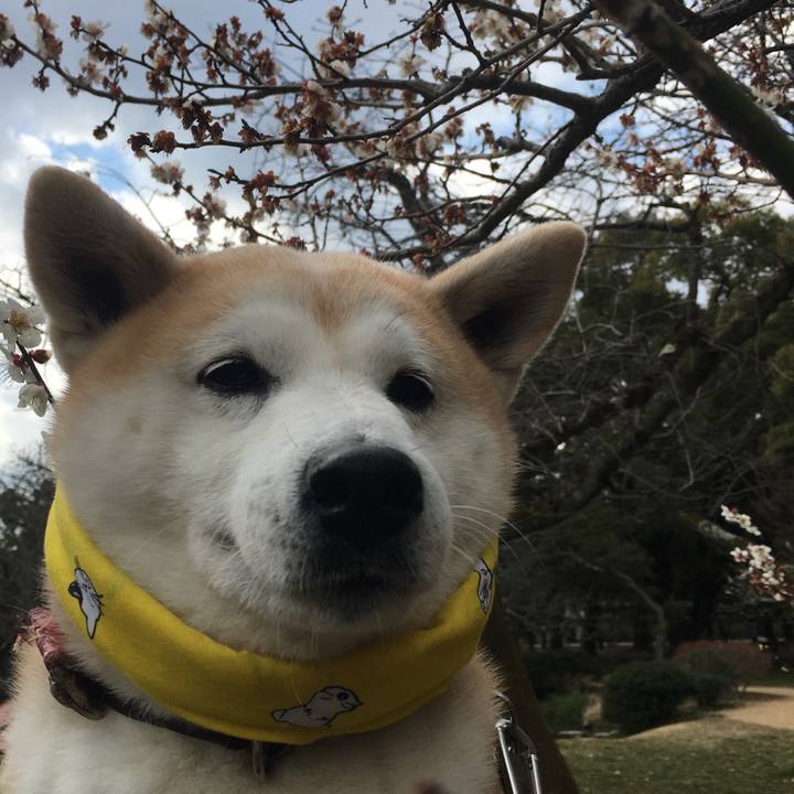 2da28192 ad3a 4f9d a054 7a5ccdae734c