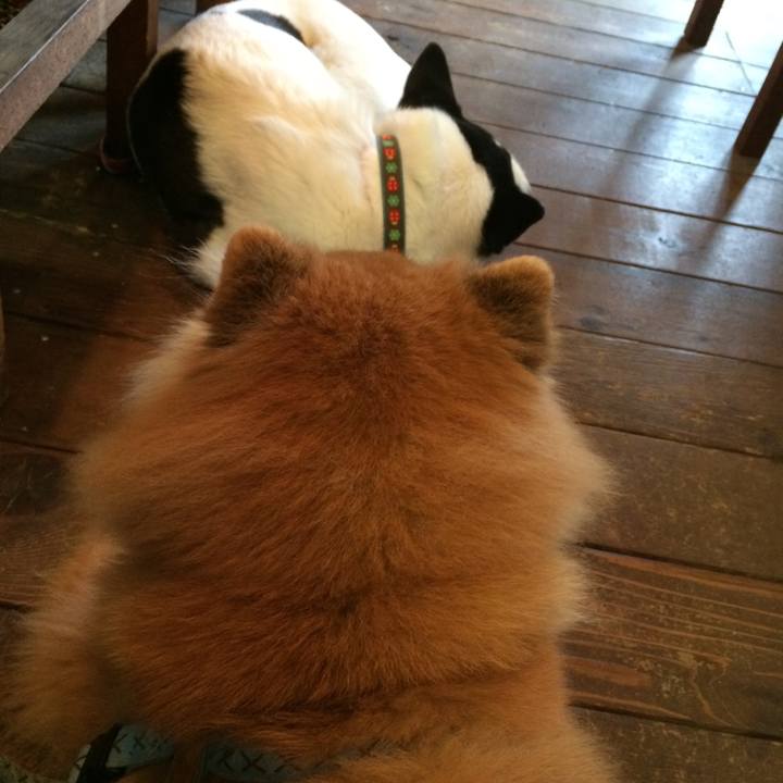 2da2b44b 5a60 4cc7 a047 7b4341dab0ed