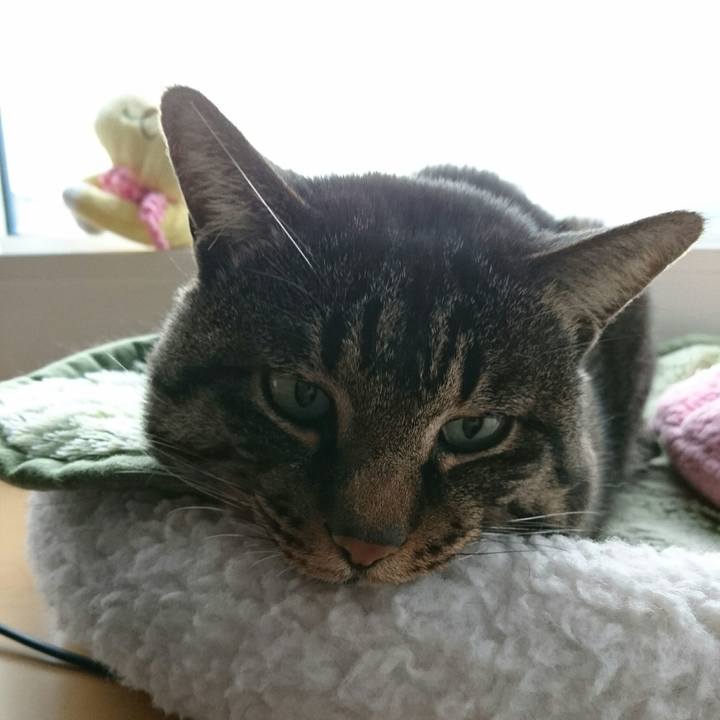 2da2e465 a0ce 4a0c 9dc3 94fc4fb6c9a5