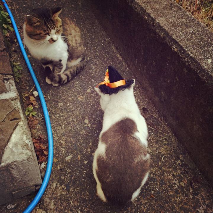 2da37823 6025 4b49 8d1d bcecd2fc5910