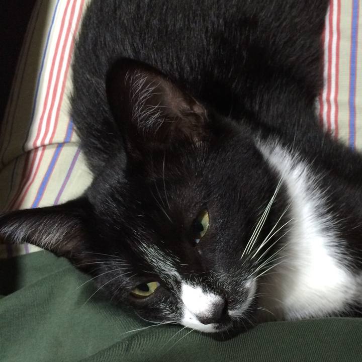 2da39024 a797 4bad a017 0d85f0597f7d