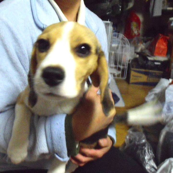 2da402ff 8944 429f 9095 ad3b3d5e692d