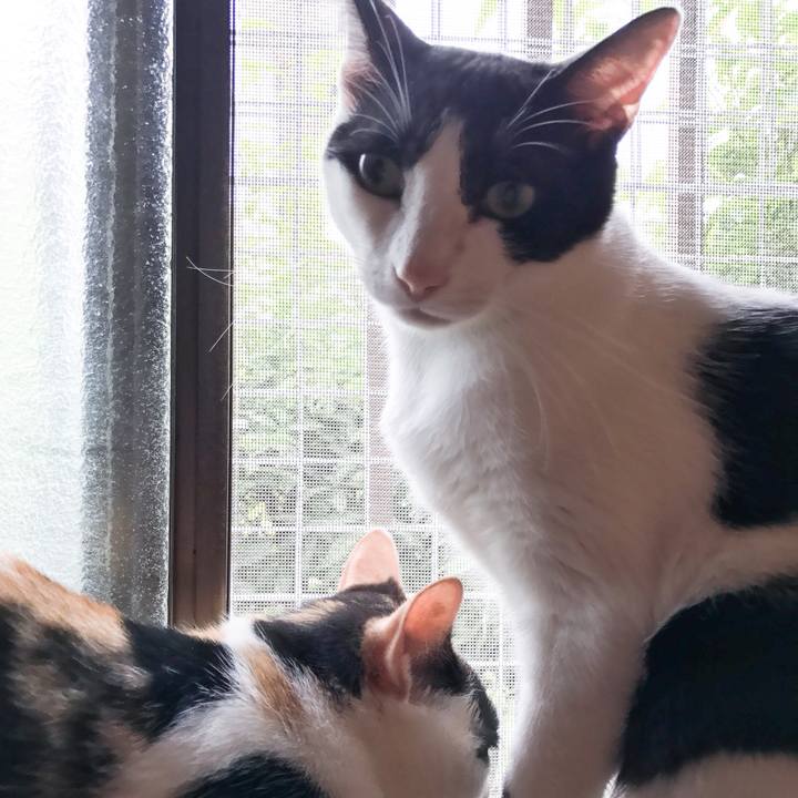 2da49208 9ed1 4df1 ae42 da31f6efd086