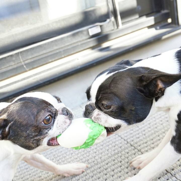 2da57ed3 dc9f 44d4 b7dc 6ffa0282a6de