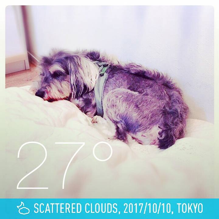 2da5c969 4304 4fd9 9d03 0a57f224aa70